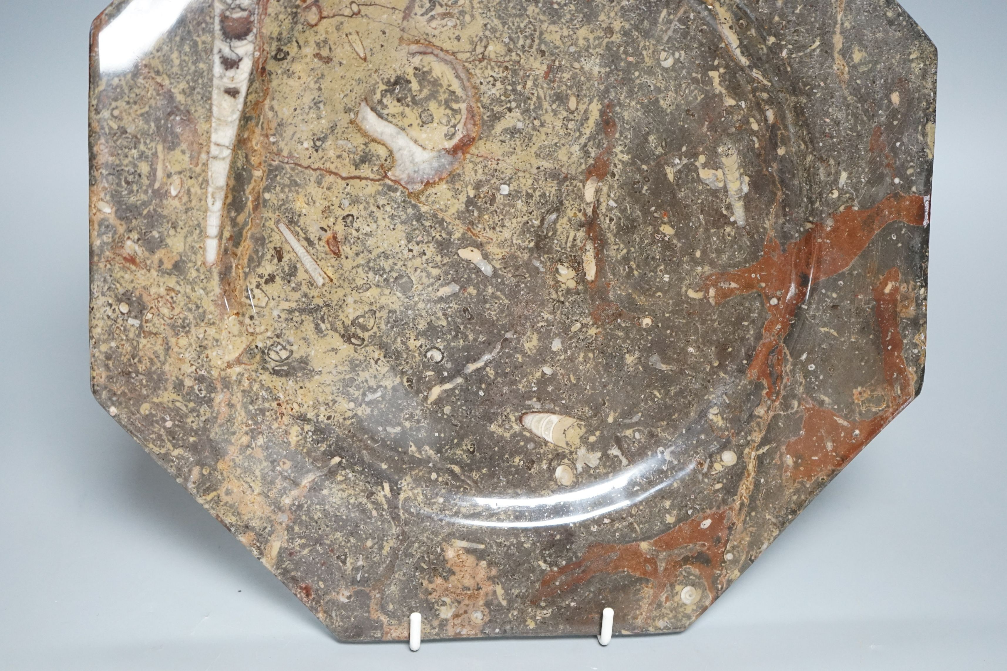 A fossil stone plate, 30cms wide